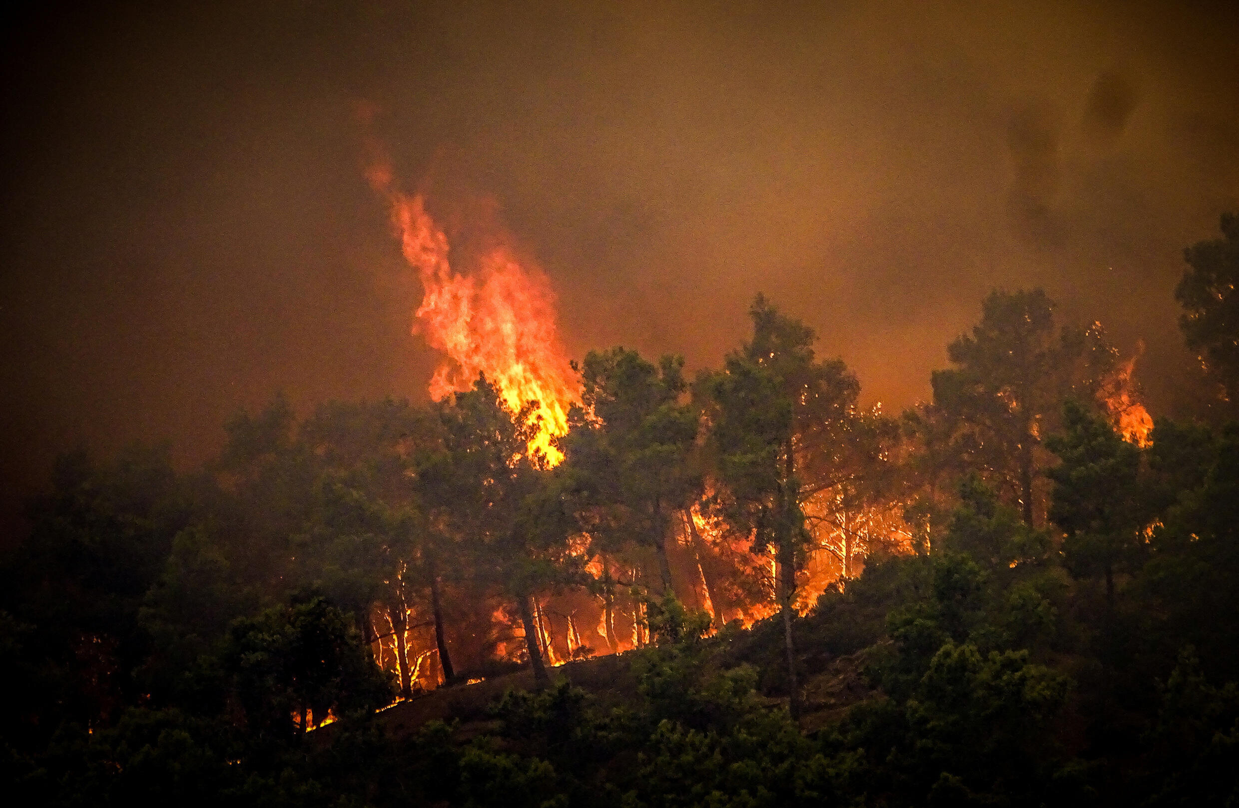 Incendios y calor extremo azotan al Mediterráneo