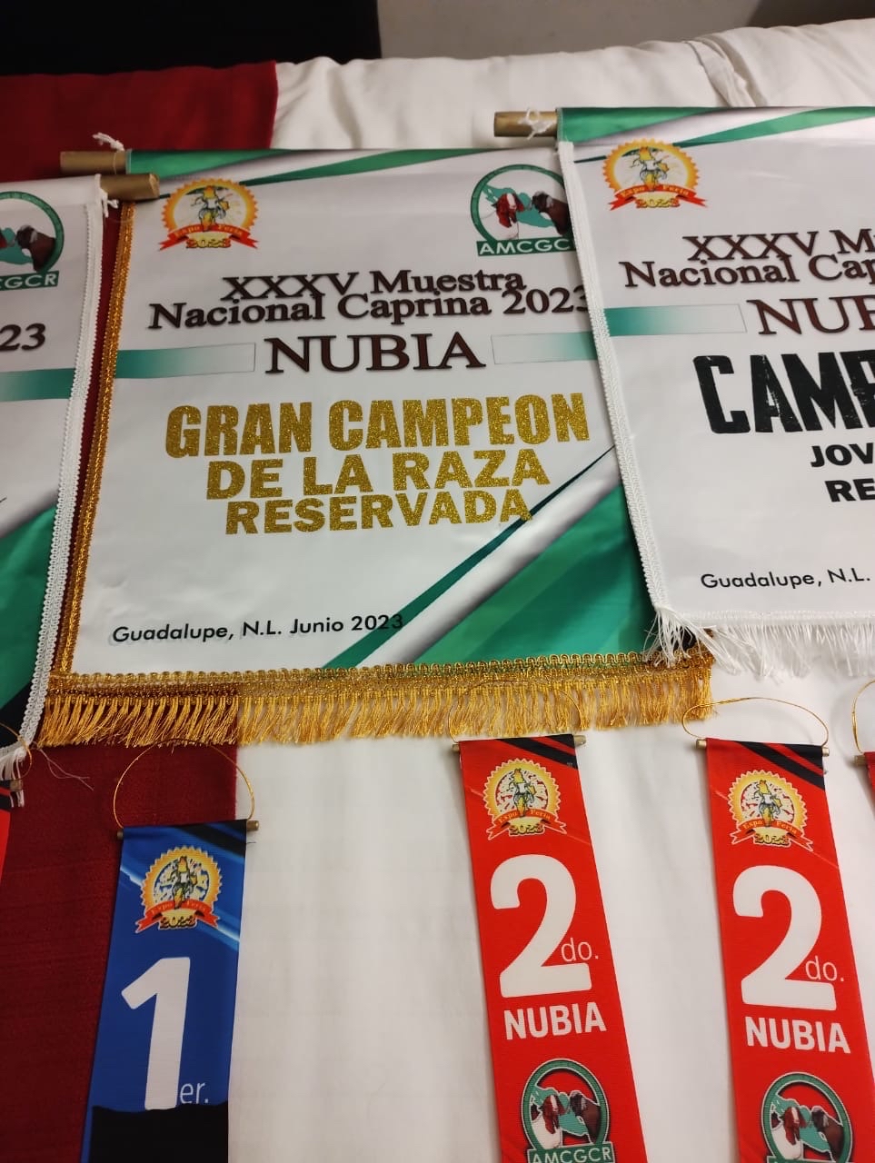 Con ejemplares de la raza Nubia y Alpina del “Rancho Las Delicias” de la UASLP, destacó en la “XXXV Muestra Nacional Caprina 2023”