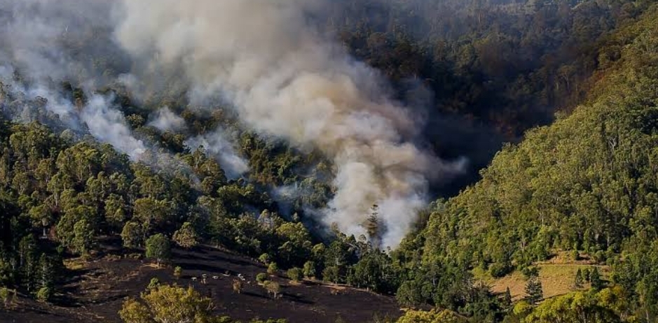 Prevención y vigilancia, cruciales para evitar incendios forestales y urbanos, señala director del Variclim de la UASLP