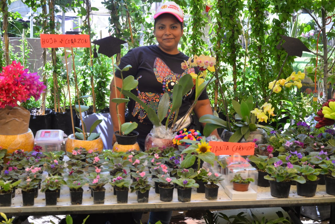 AGRUPACIÓN SOLEDENSE “APASIONADOS DEL DANZÓN” CLAUSURARÁ FESTIVAL DE LAS FLORES 2023