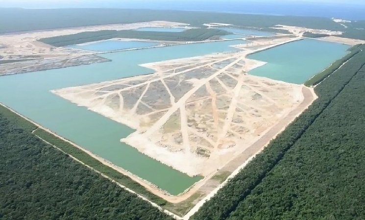 Gobierno federal declarará Área Natural Protegida zona de selva concesionada a Calica