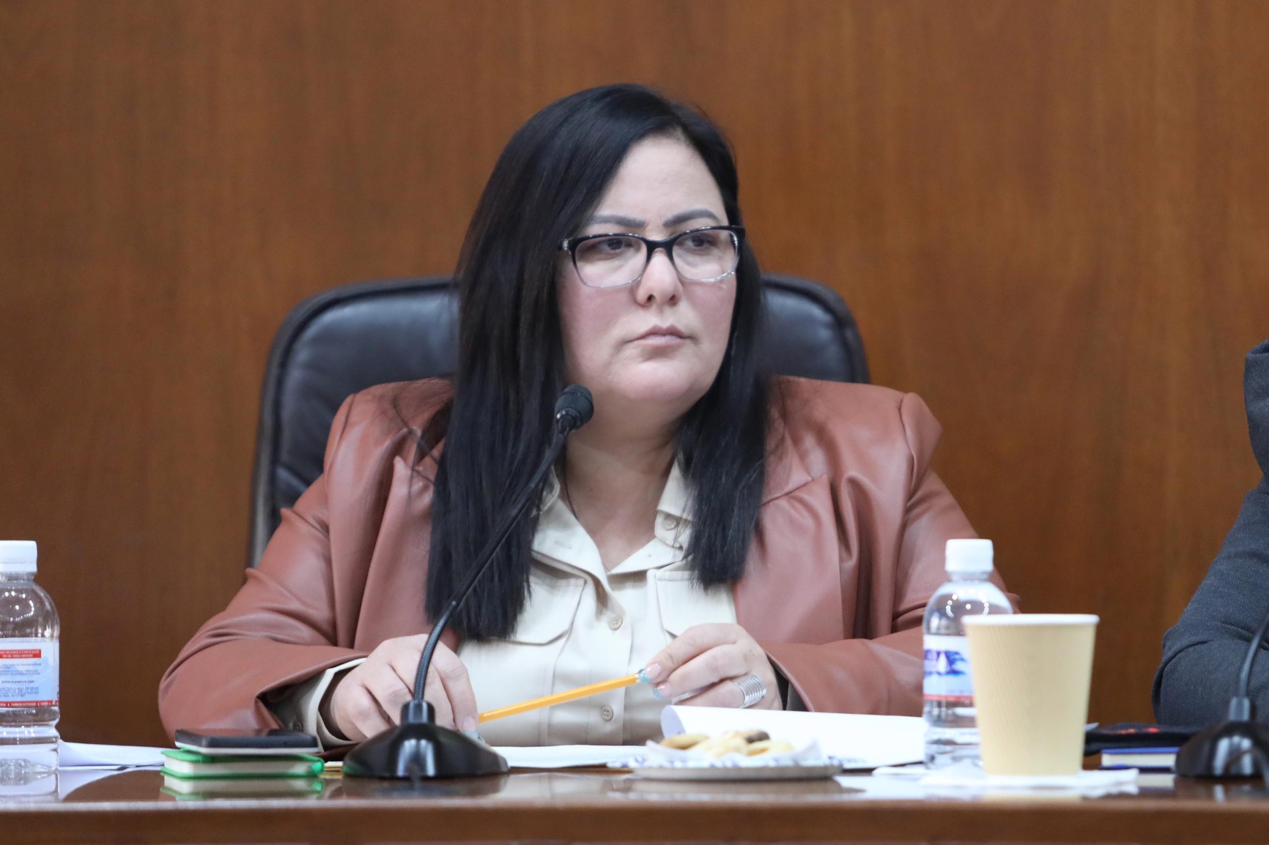 El congreso del estado aprobó reformas al código penal del estado promovidas por la Dip. Martha Patricia Aradillas Aradillas