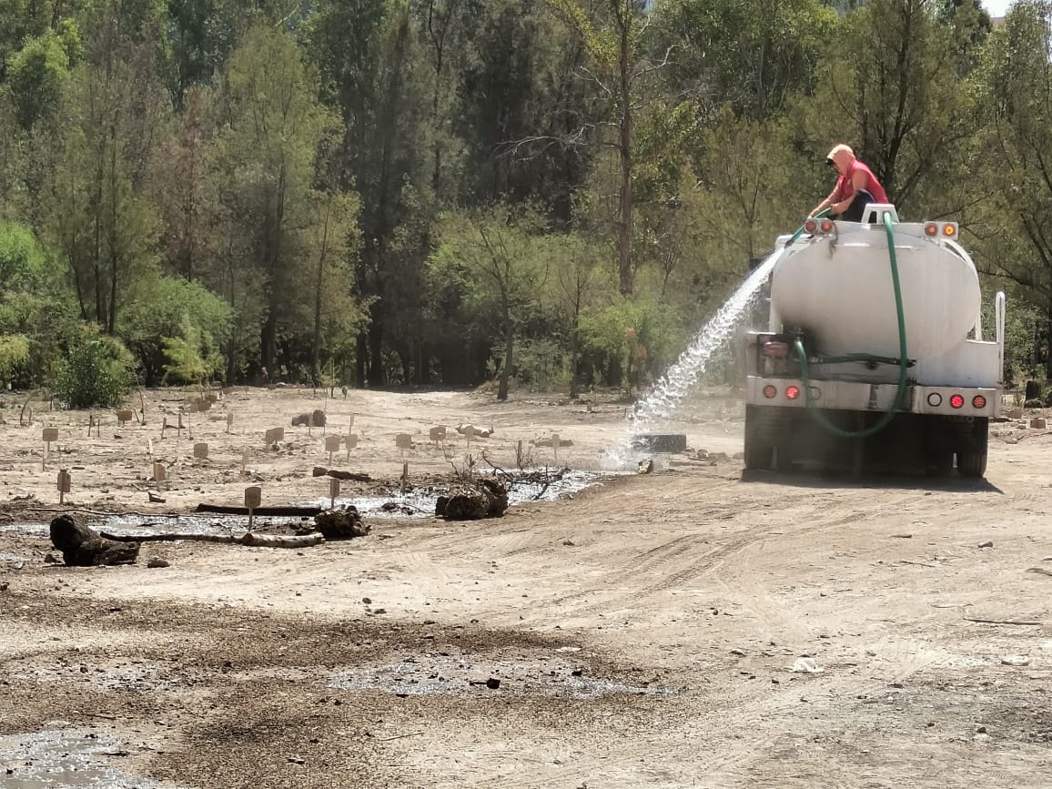 "El Bosque de la Cida" crece, aseguró la Presidenta del Sistema Municipal DIF, Estela Arriaga Márquez