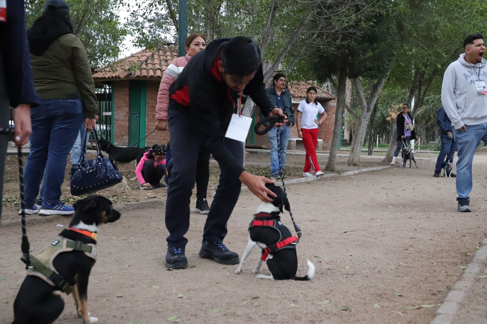 Este viernes 10 de noviembre dio inicio a la segunda edición del Curso de Adiestramiento Básico Canino Gratuito EduCAN.