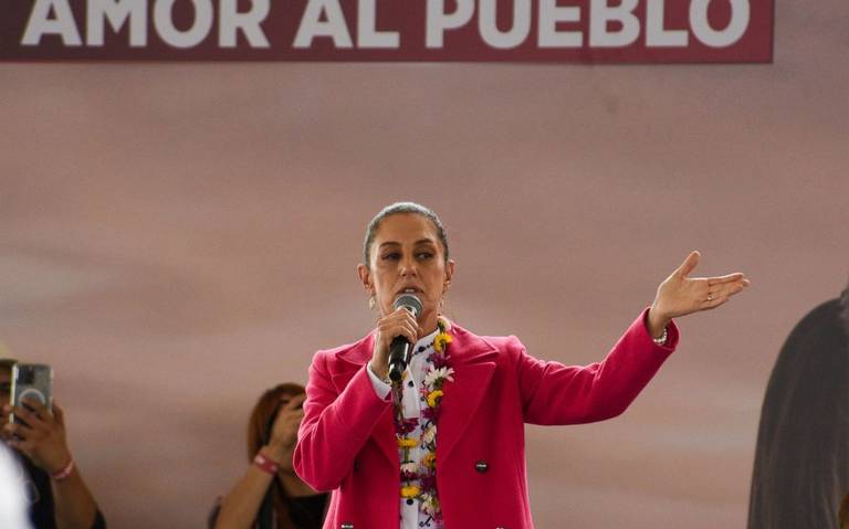 “El Partido Verde apoya la unidad y apoya el proyecto de Claudia Sheinbaum y el legado de López Obrador”, subrayó