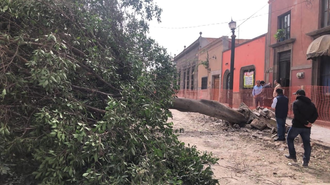 Han recibido 33 reportes de incidencias en la zona metropolitana, principalmente por apagones, caída de árboles y espectaculares.