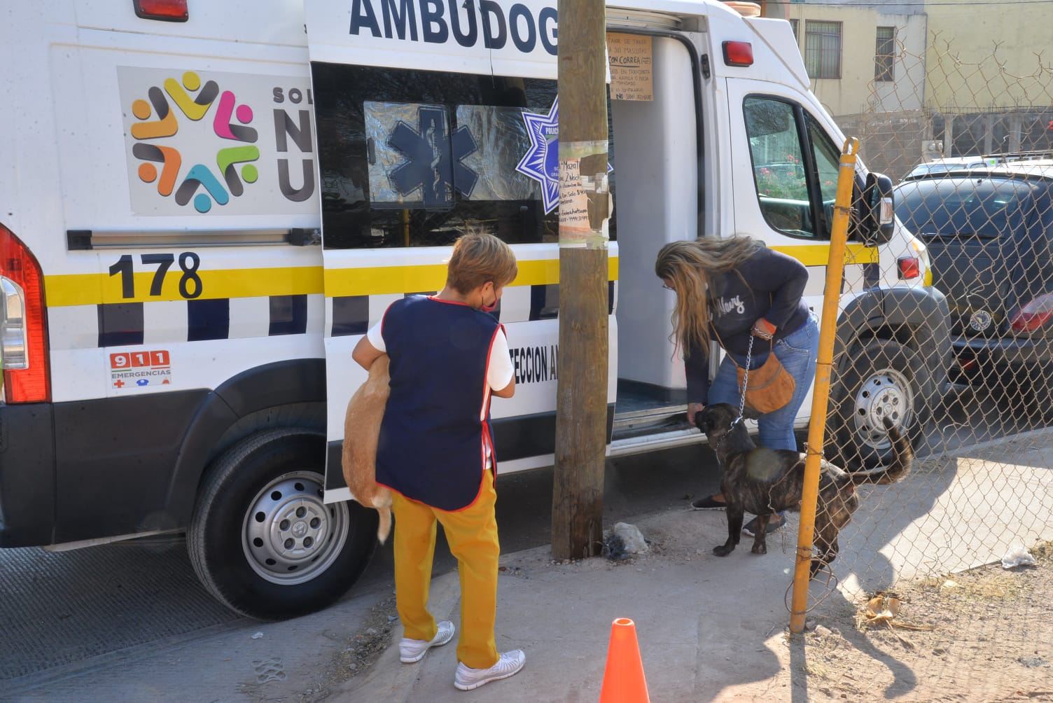 Soledad es pionero con el Ambudog, cuyo servicio ha logrado brindar más de 500 servicios veterinarios durante el mes de enero