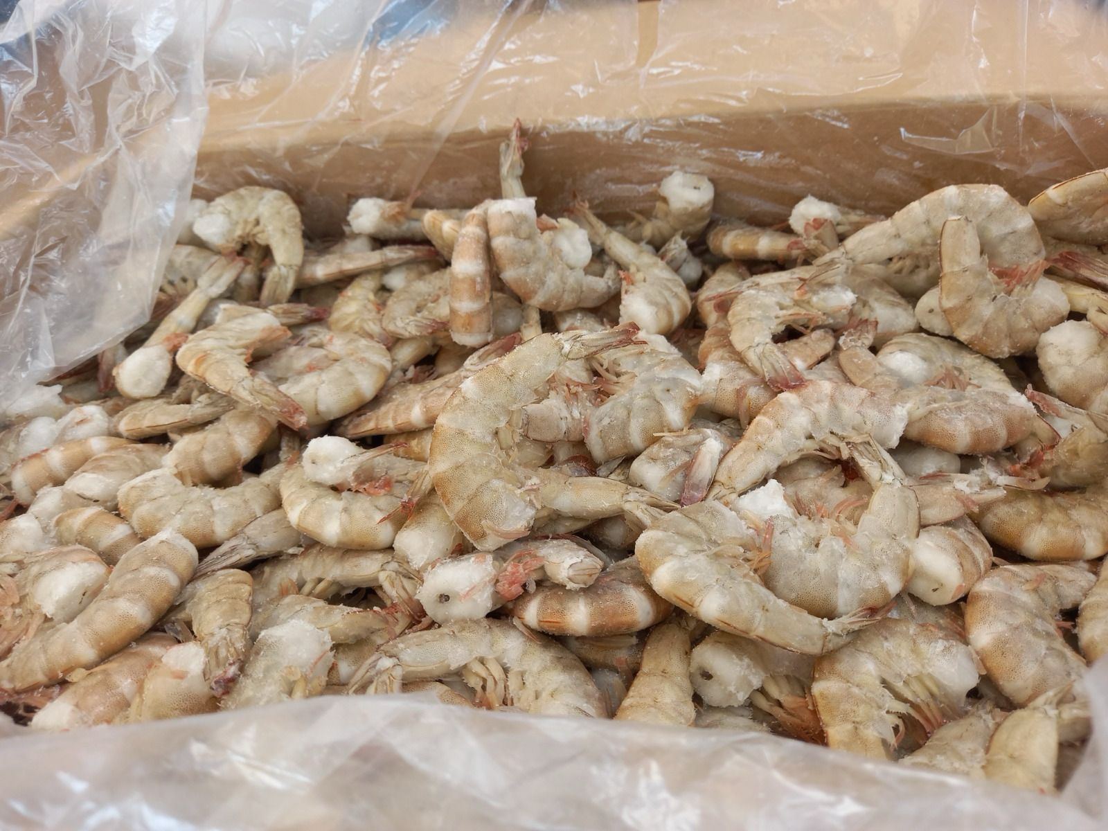 A partir del miércoles 14 de febrero, el Sistema Municipal DIF iniciará la venta de pescados y mariscos a costos accesibles