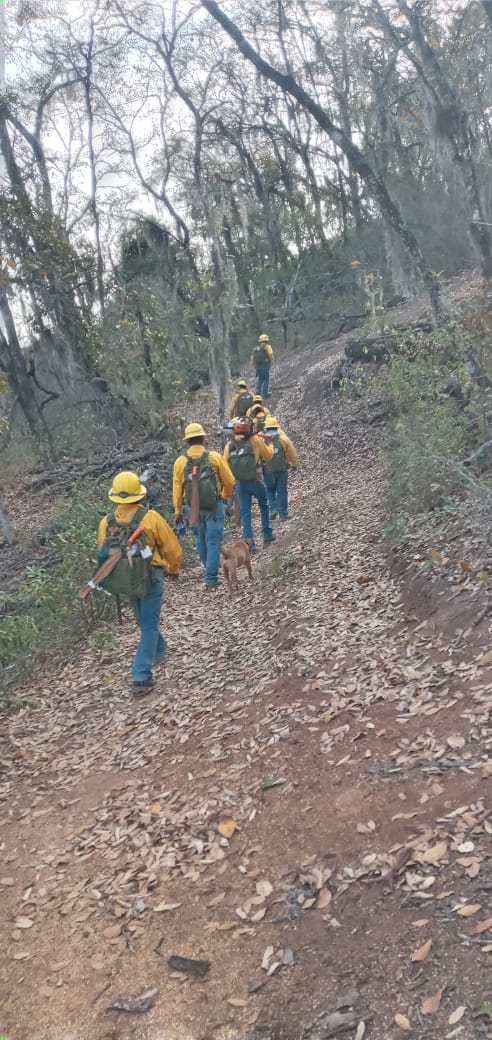 La brigada Red Fox del Nacimiento ha llevado a cabo una ardua labor de prevención en lo alto de la sierra