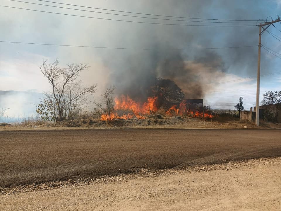 Ola de incendios azota Ciudad Valles, dejando daños materiales y pérdida de fauna