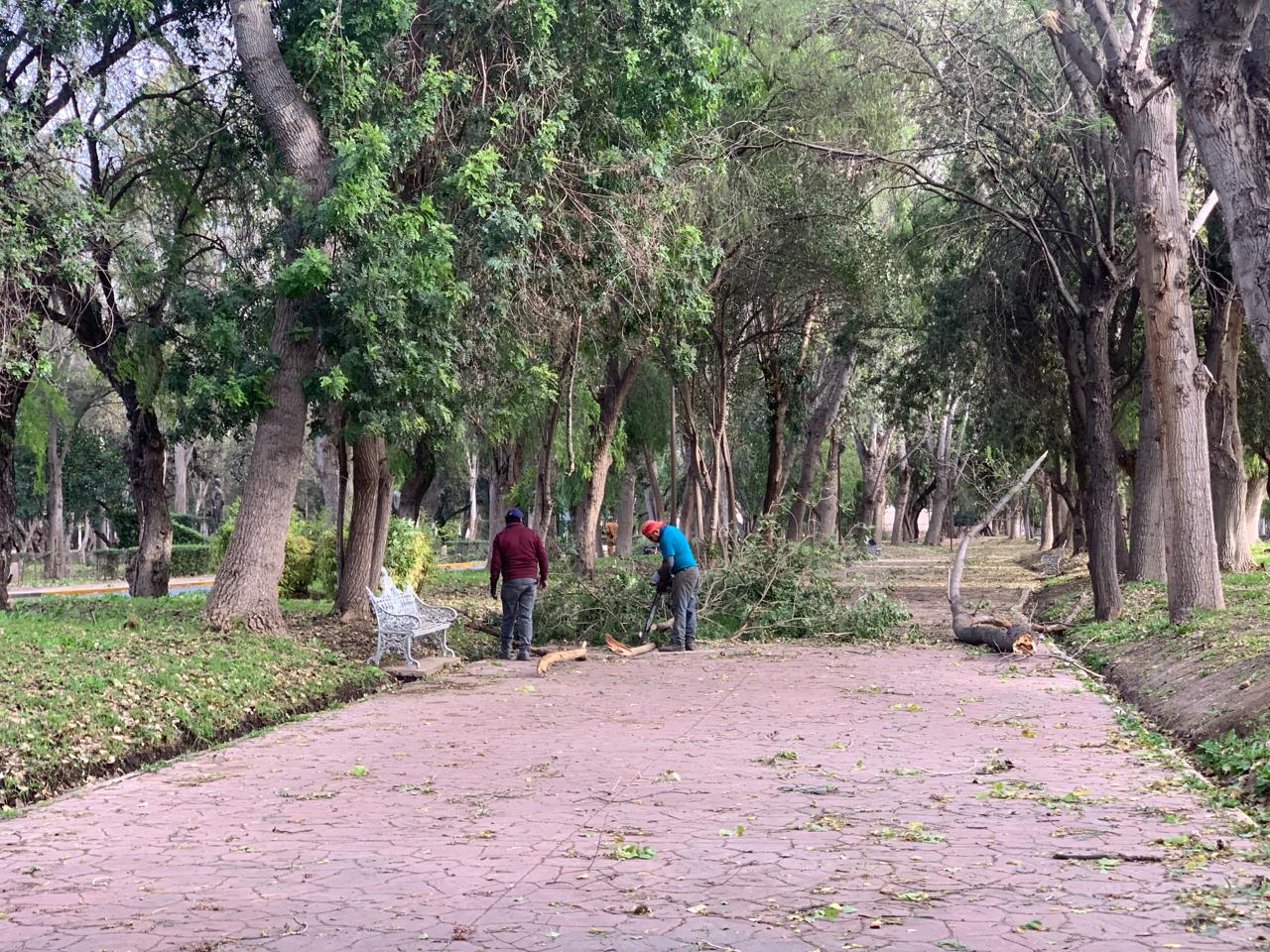 Parques Tangamanga permanecen cerrados por fuertes vientos 