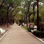 Anuncian rehabilitación de parque de Morales