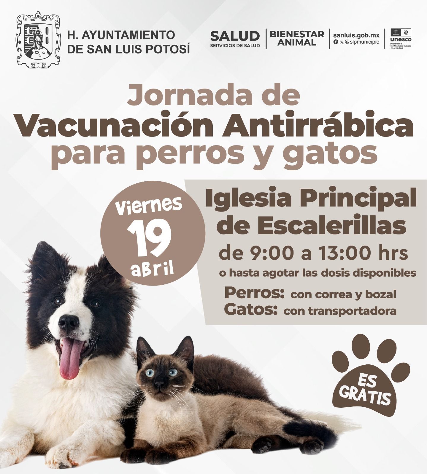 Ayuntamiento de SLP realizará jornada de vacunación antirrábica gratuita para perros y gatos
