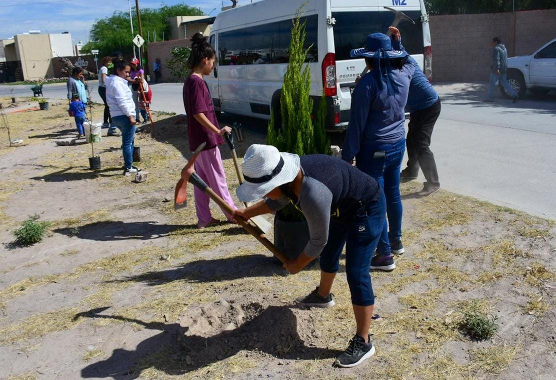 Con resultados, programa de reforestación permanente en Soledad de G. S. 