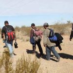 Disminuye el flujo de migrantes guatemaltecos en San Luis Potosí, pero aumenta en Zacatecas