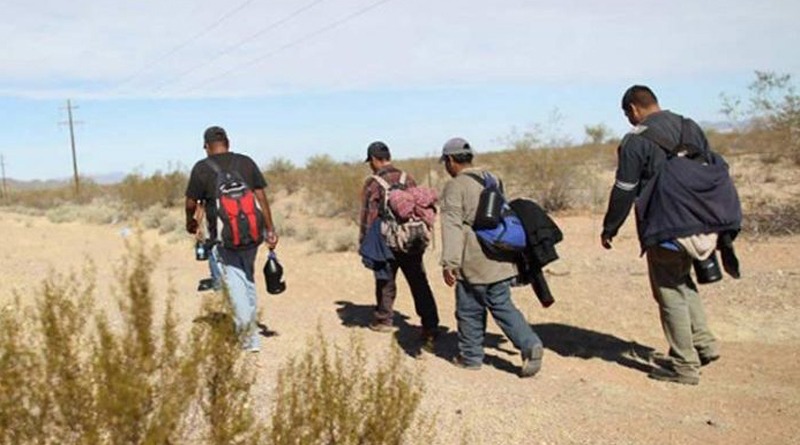 Disminuye el flujo de migrantes guatemaltecos en San Luis Potosí, pero aumenta en Zacatecas