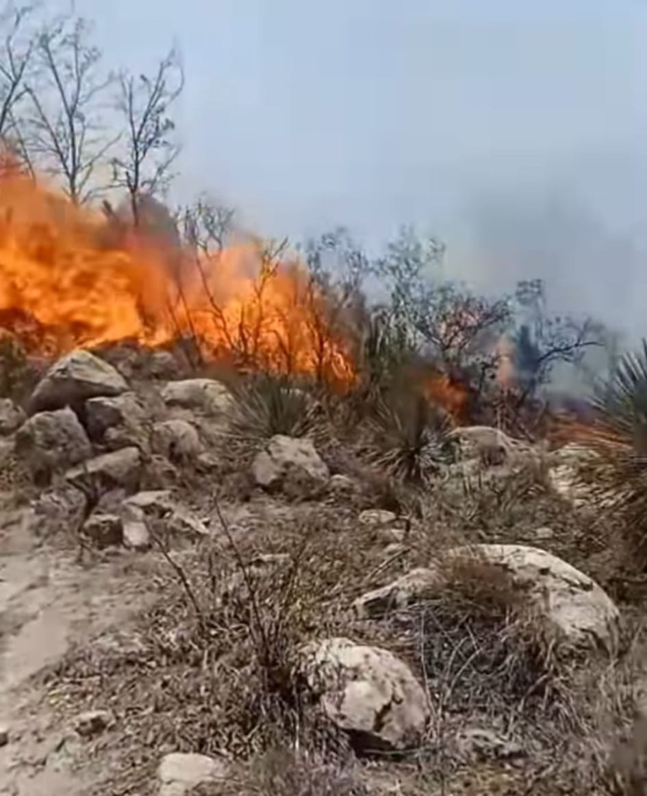 En 48 hrs será fulminado incendio en la Sierra de San Miguelito