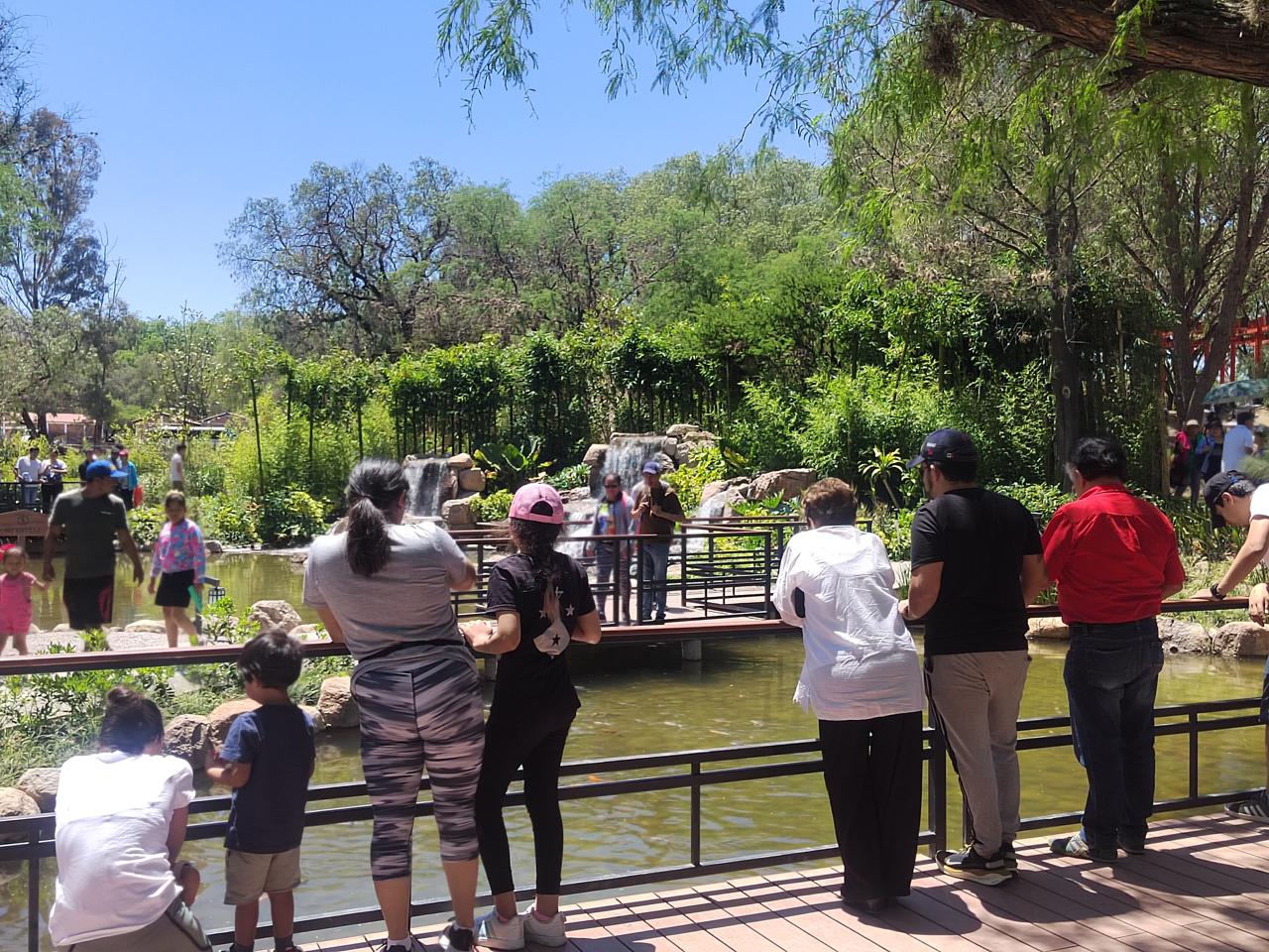 Más de 180 mil visitantes recibieron parques Tangamanga y Las Camelias