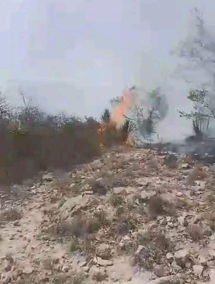 Sierra de San Miguelito registró nuevo incendio, autoridades lograron extinguirlo