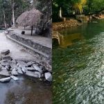 Sequía amenaza la Huasteca: Impactos devastadores en Tambaque y alrededores
