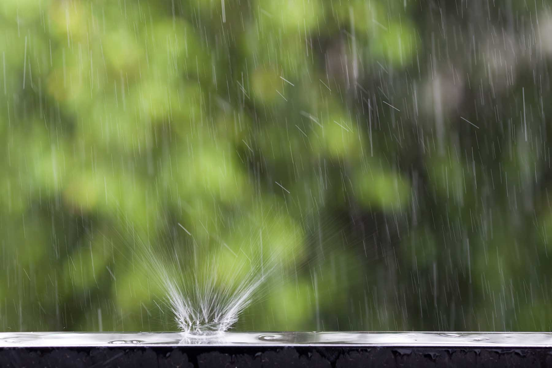 ¡La Niña promete lluvias abundantes para México este verano!