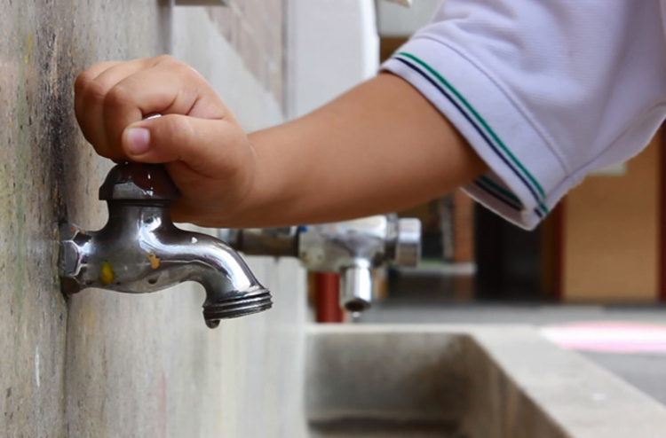 1500 escuelas de educación básica en SLP, no tienen acceso a agua: diputada