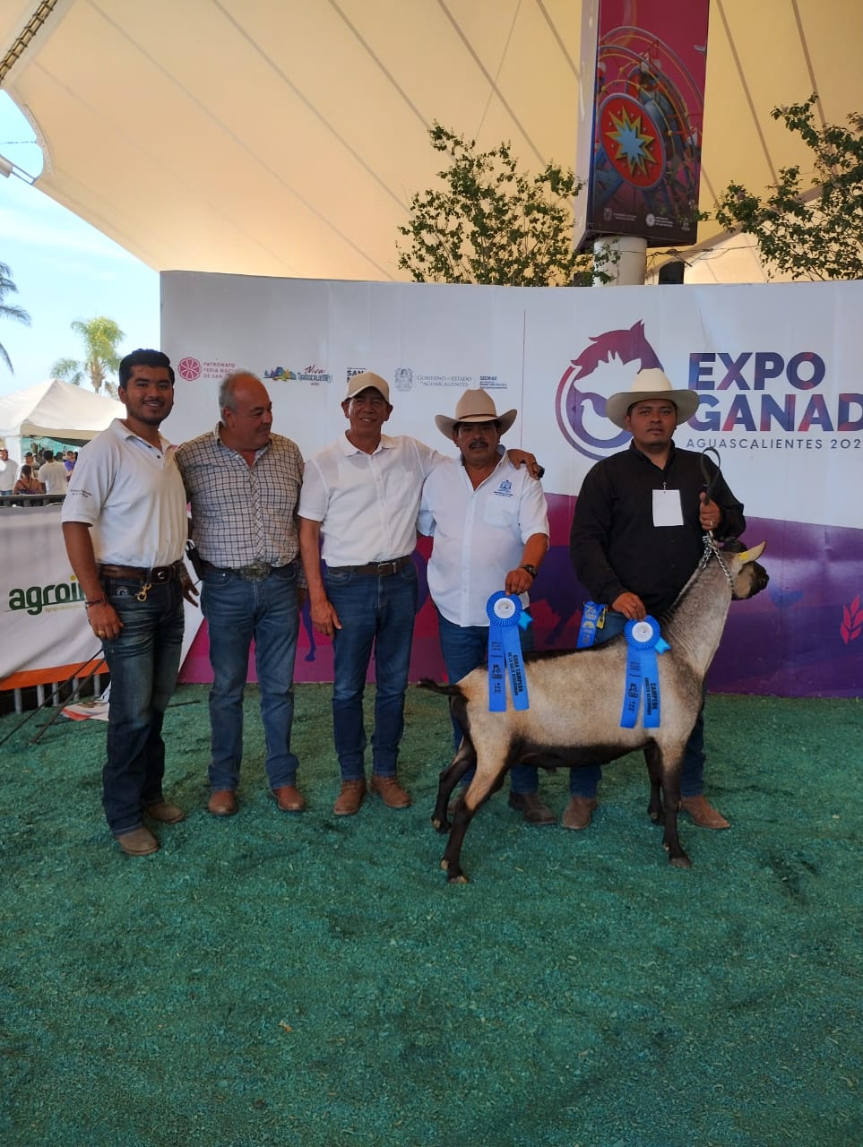 Ganado caprino de la Facultad de Agronomía y Veterinaria de la UASLP triunfa en la Expo Ganadera de la Feria Nacional de San Marcos