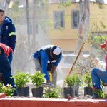 Vecinos y trabajadores municipales se unen para rescatar el Jardín de La Rosa