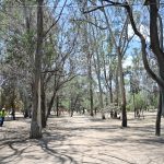 Gobierno estatal al rescate del Parque de Morales