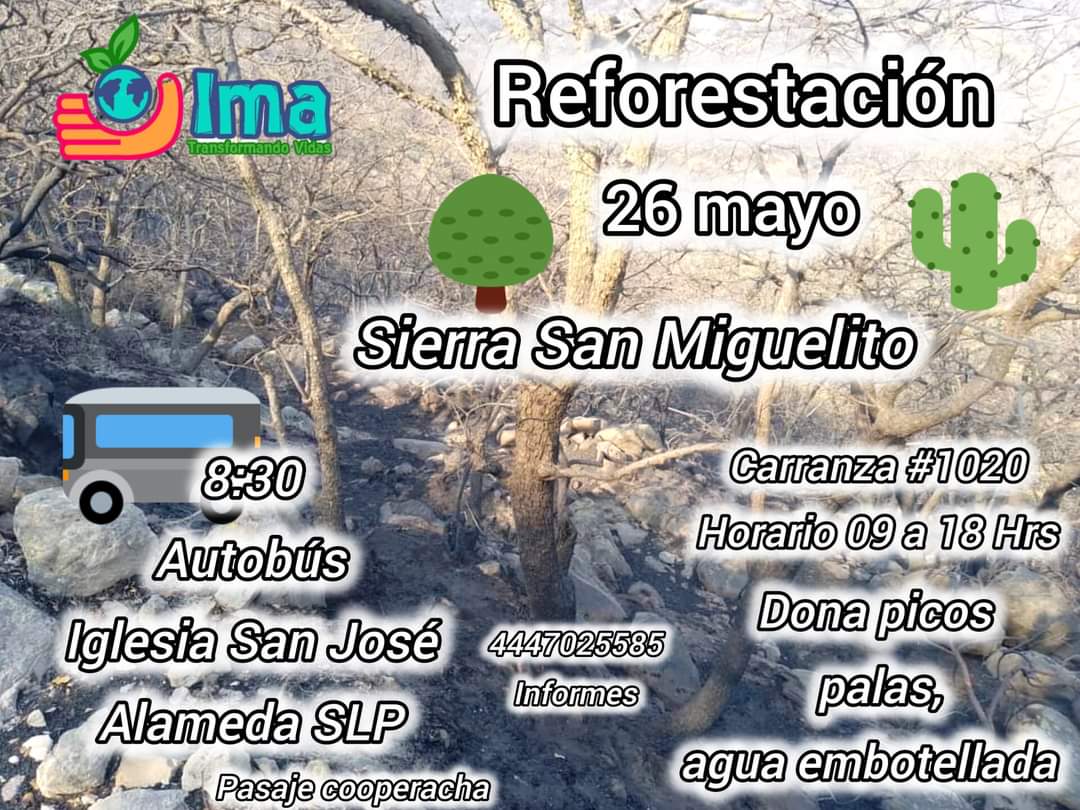 Invitan a participar en la Jornada de Reforestación en la Sierra de San Miguelito