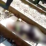 Muere hombre arrollado por el tren en la colonia 6 de junio
