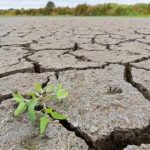 Plan de sequía en San Luis Potosí aún sin aprobación federal: Secretario General de Gobierno
