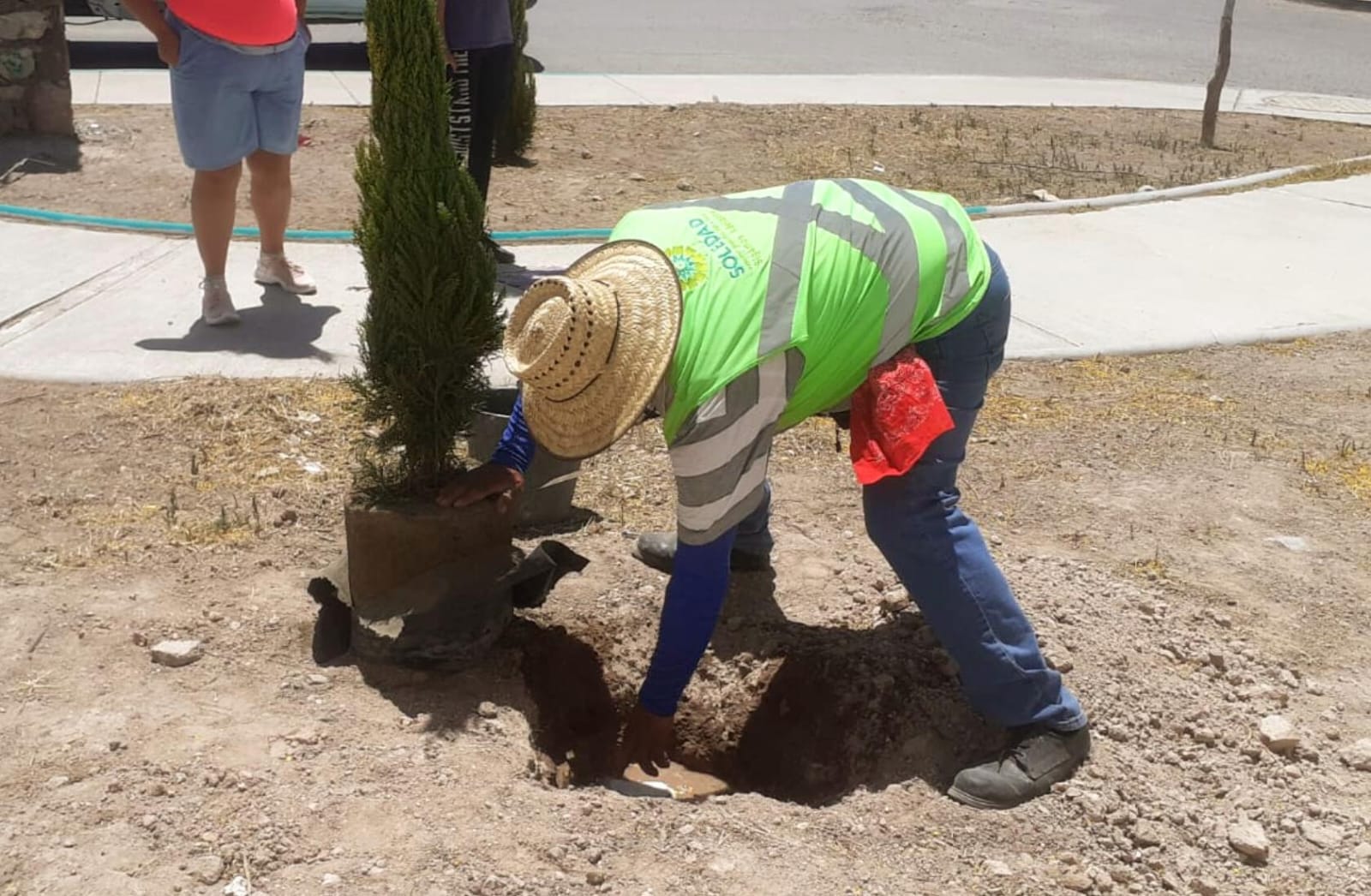 Suman más de 100 nuevos árboles plantados en Soledad de G. S., en últimas semanas