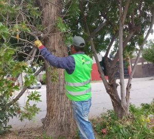 Mejora de espacios públicos en Soledad de G. S., una constante y compromiso del alcalde Navarro Muñiz