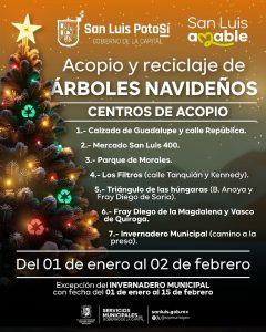 Ayuntamiento de SLP pone en operación los centros de acopio de árboles navideños naturales