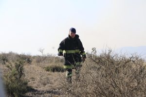 Con apoyo interinstitucional, controlan incendio forestal