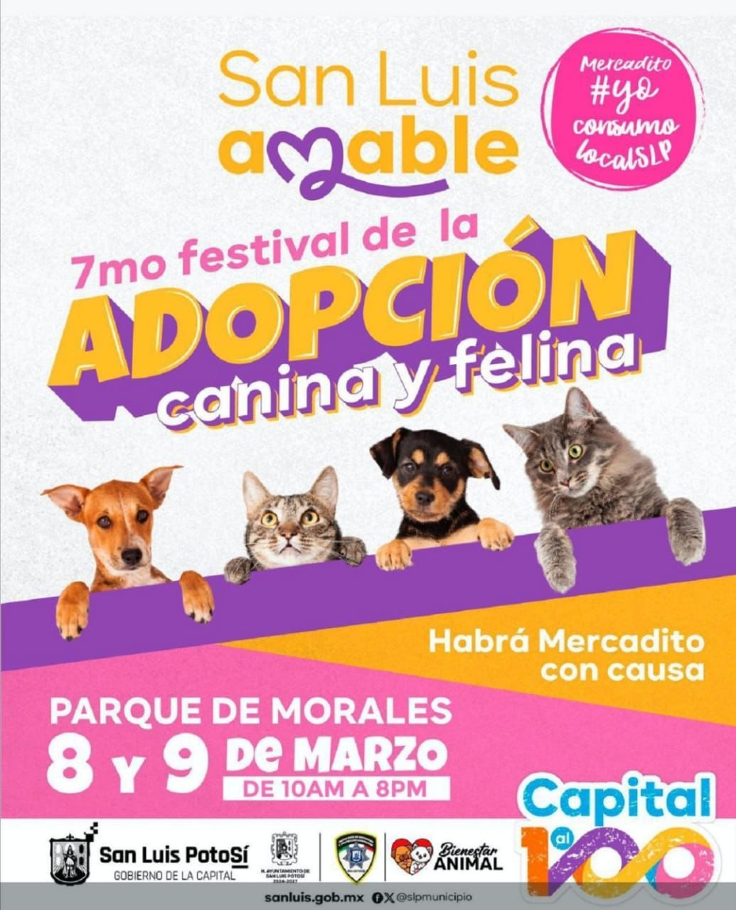 Este sábado y domingo, Gobierno de la Capital invita al 7° Festival de la Adopción Canina y Felina