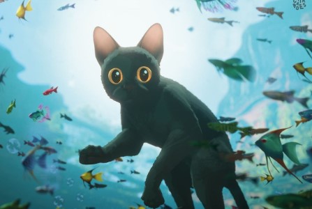 El triunfo de ‘Flow’ en los Óscar impulsa la adopción de gatos negros