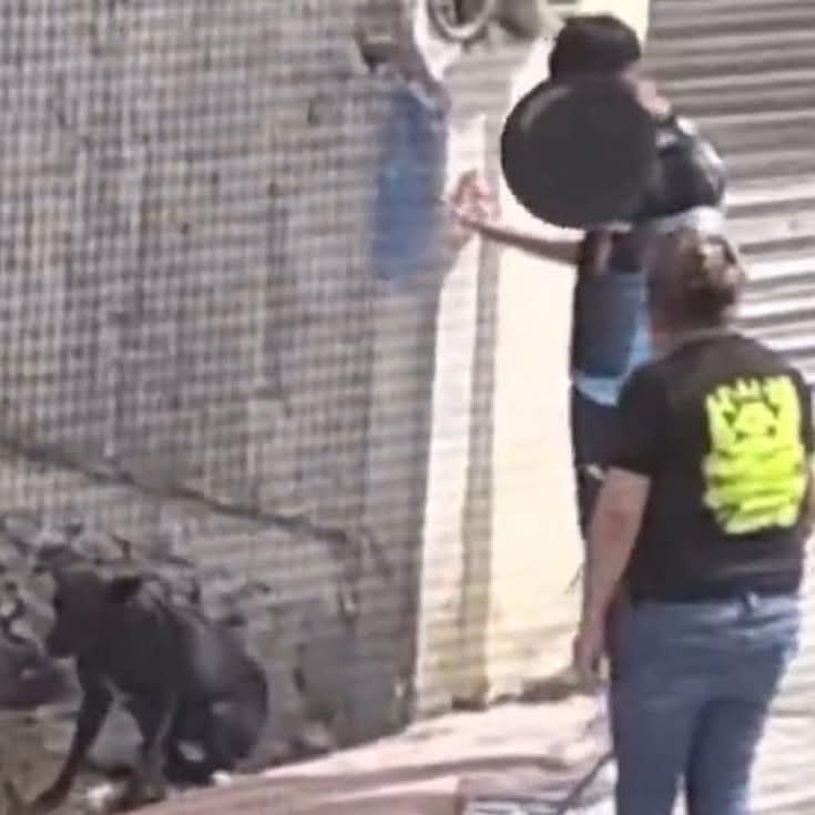 Asesinato de Tuti causa indignación en Charcas ante omisión de autoridades