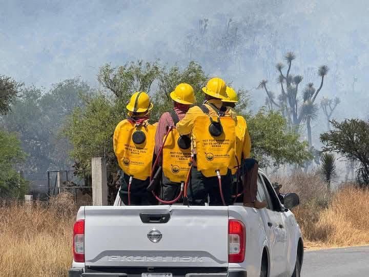 Comité del manejo del fuego combate incendio en Mexquitic