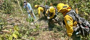 Continúa combate a incendios en la huasteca