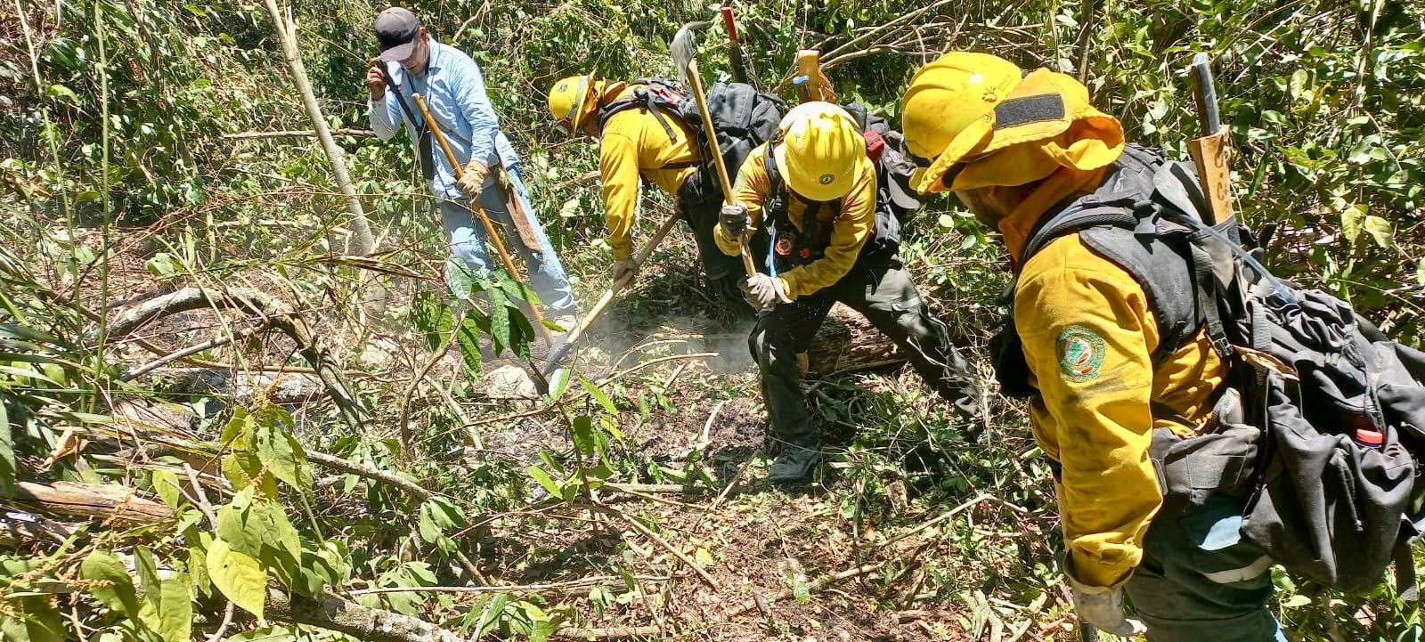 Continúa combate a incendios en la huasteca