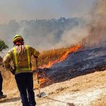 Casi 10 mil hectáreas arrasadas en SLP por incendios forestales en 2025
