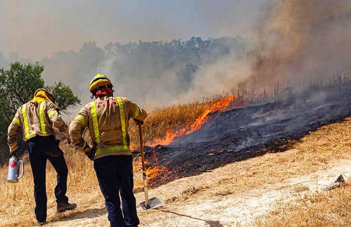 Casi 10 mil hectáreas arrasadas en SLP por incendios forestales en 2025