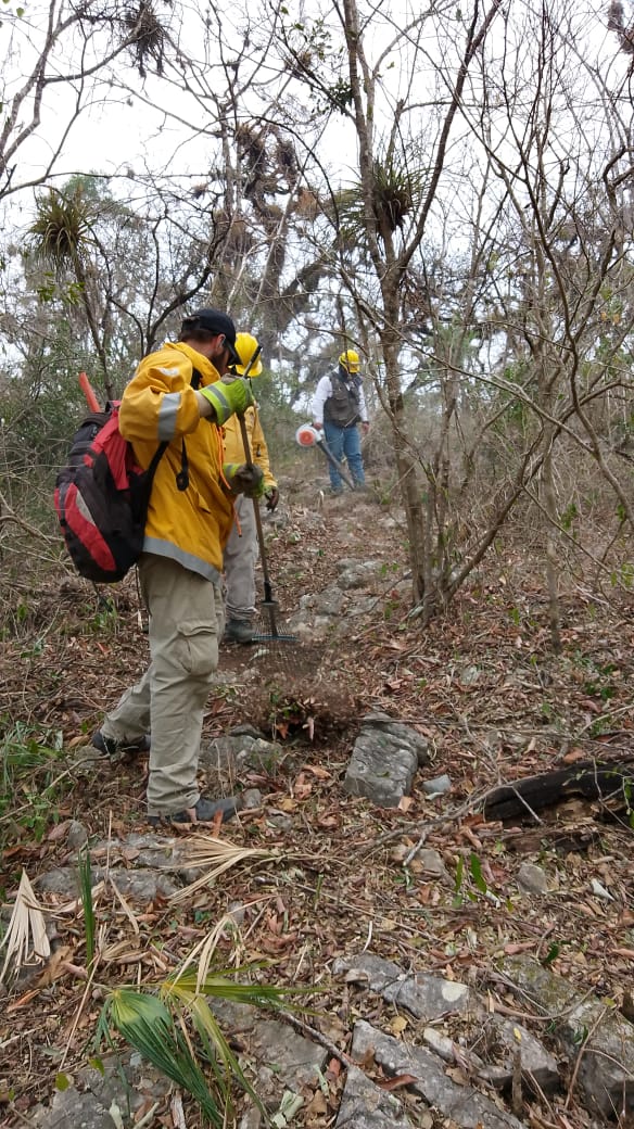 Gobierno estatal fortalece acciones contra incendios forestales