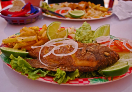 Platillos de cuaresma aportan valor nutricional y deben ser de consumo habitual: Dra. Mónica Acebo Martínez  