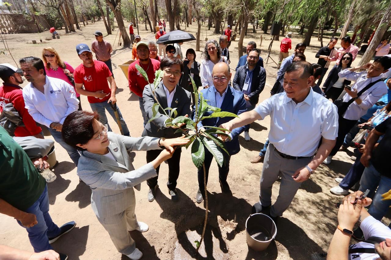 San Luis Capital y la República de Corea, unidos por el Jardín de la Diplomacia