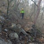 Comité del manejo del fuego trabaja en incendios forestales
