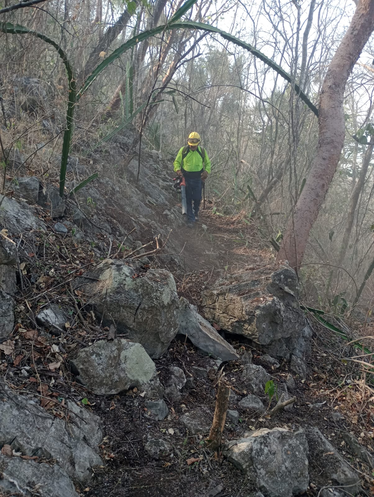Comité del manejo del fuego trabaja en incendios forestales
