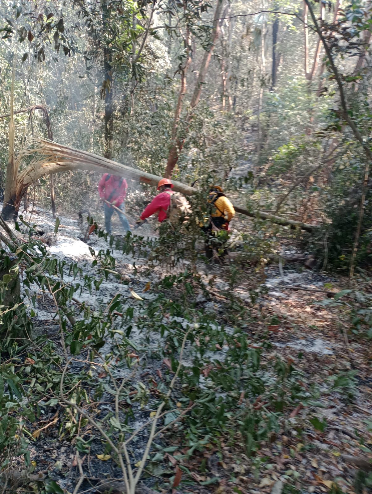 Incendio en Tamazunchale se encuentra controlado